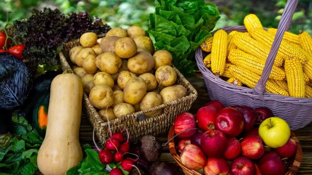 Социальные продукты начали дешеветь в Казахстане