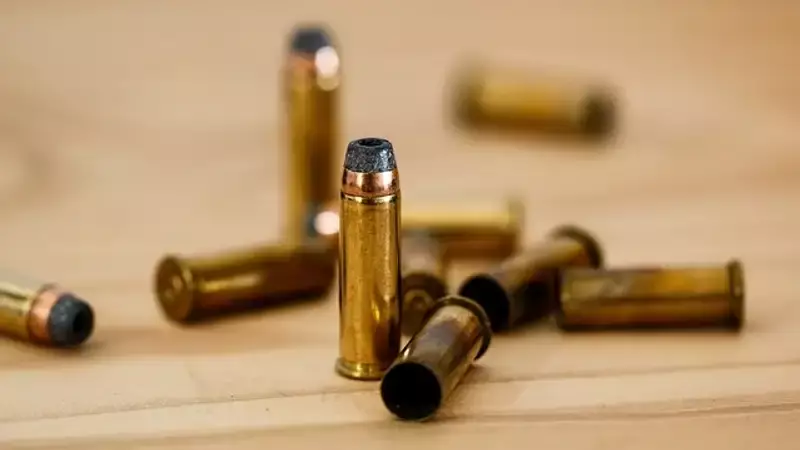 Жамбыл облысында жас жігітті атып кетті: күдікті қамауға алынды