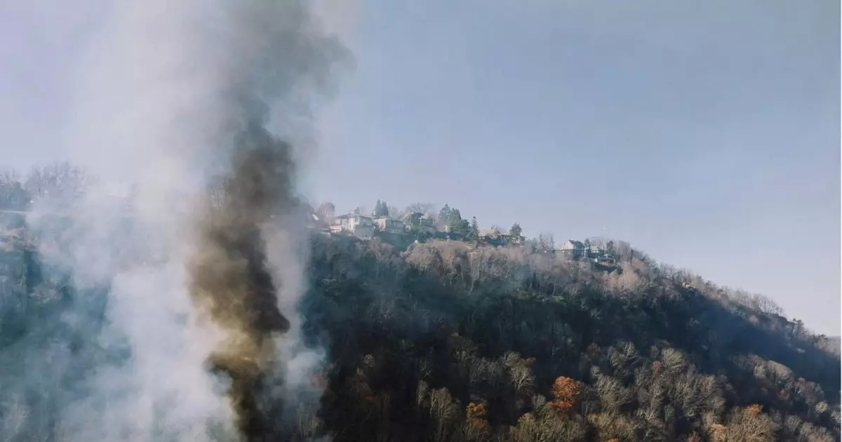  Елімізде бір тәулікте 13 орман өрті тіркелді 