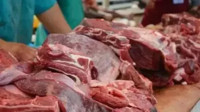  Шаққалиев ет бағасының қымбаттауына қатысты пікір білдірді 