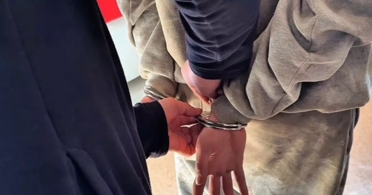  100-ден астам адамға автонесие алдырған қылмыстық топ ұсталды 