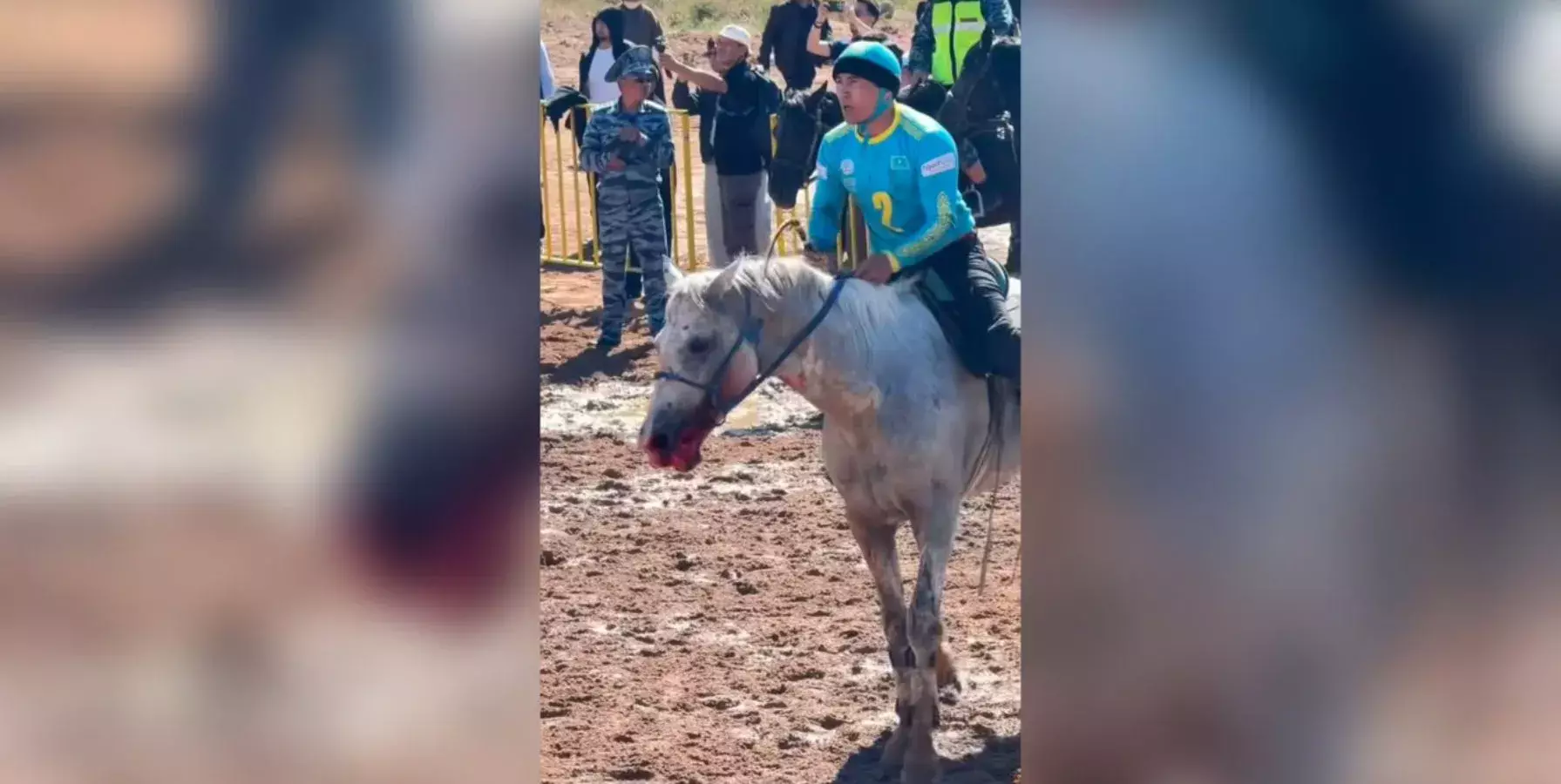 Дүниежүзілік көшпенділер ойыны кезінде жылқының жағдайы көпшіліктің ашуын туғызды