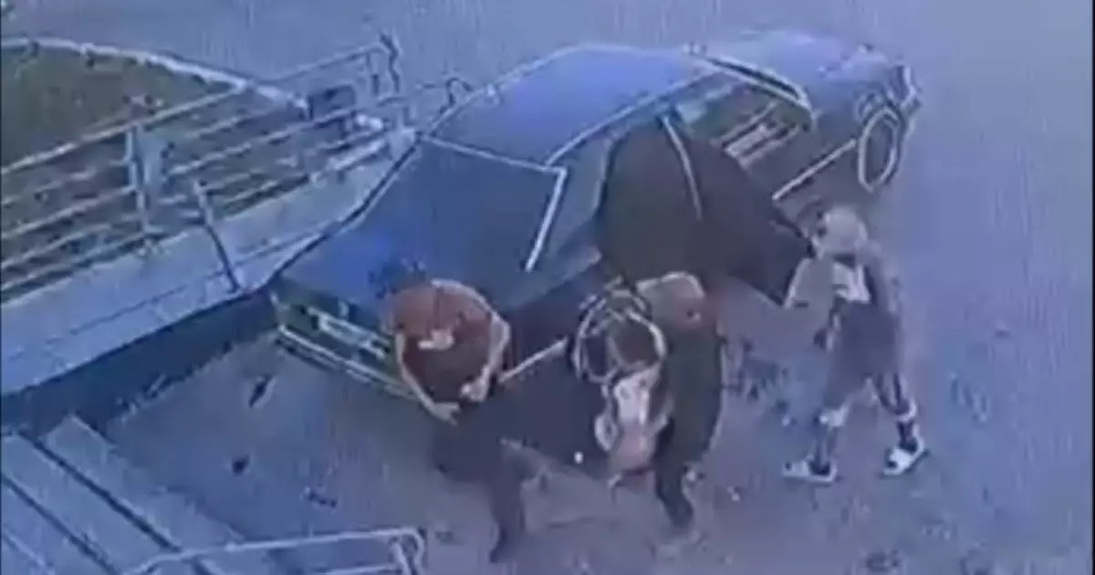  `Багажникке салып әкетіп, ауруханаға әкеп тастаған`: Таразда дәрігерді үш жігіт ұрып өлтірген 