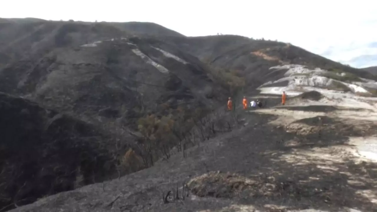Колумбияда 3 мың га алқап жанып кетті
