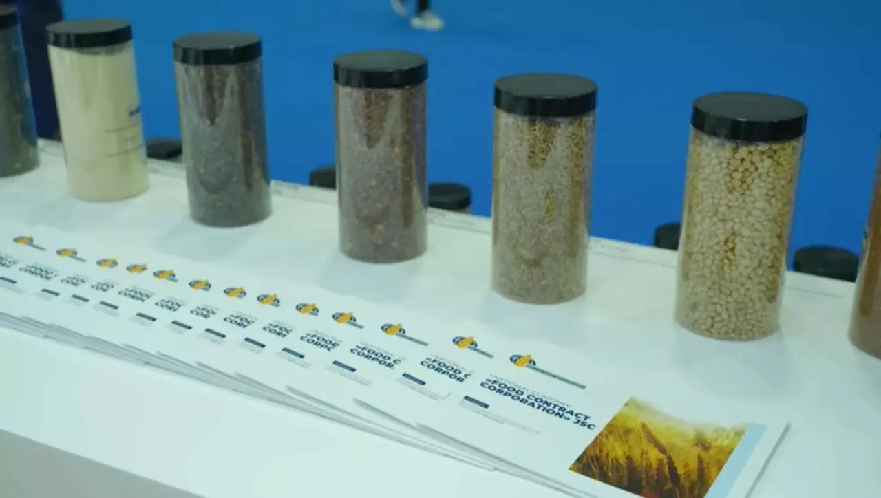 Қытайдың астық нарығына тікелей жол ашылды