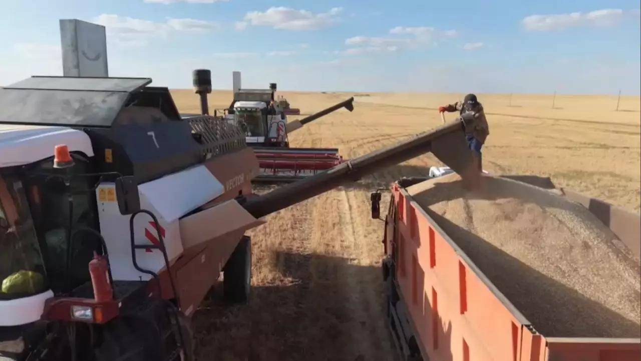 Егін жинау қарқынды жүріп жатыр