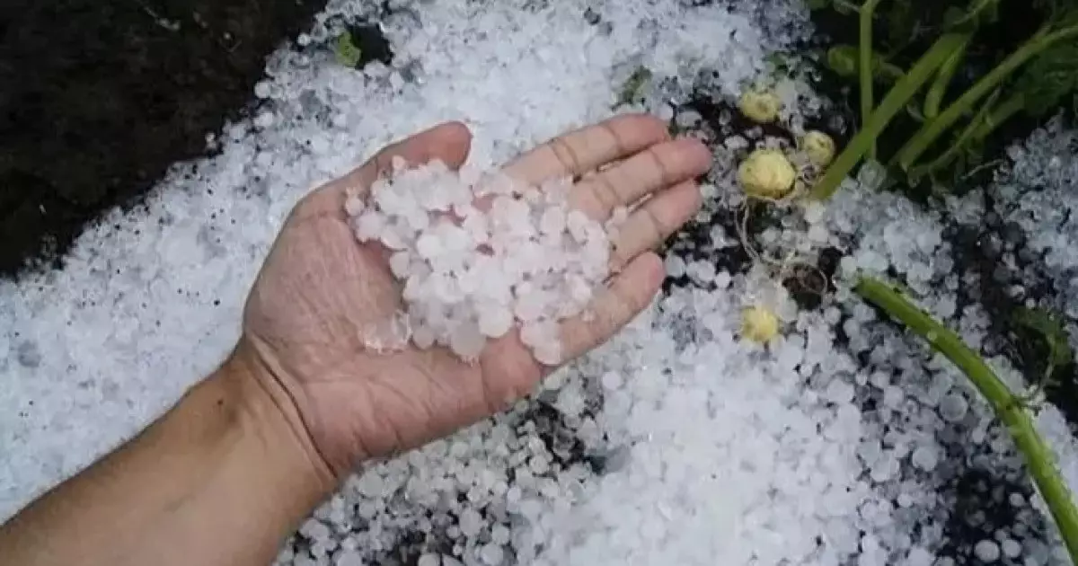  Еліміздің 16 өңіріне қатысты ескерту жарияланды 