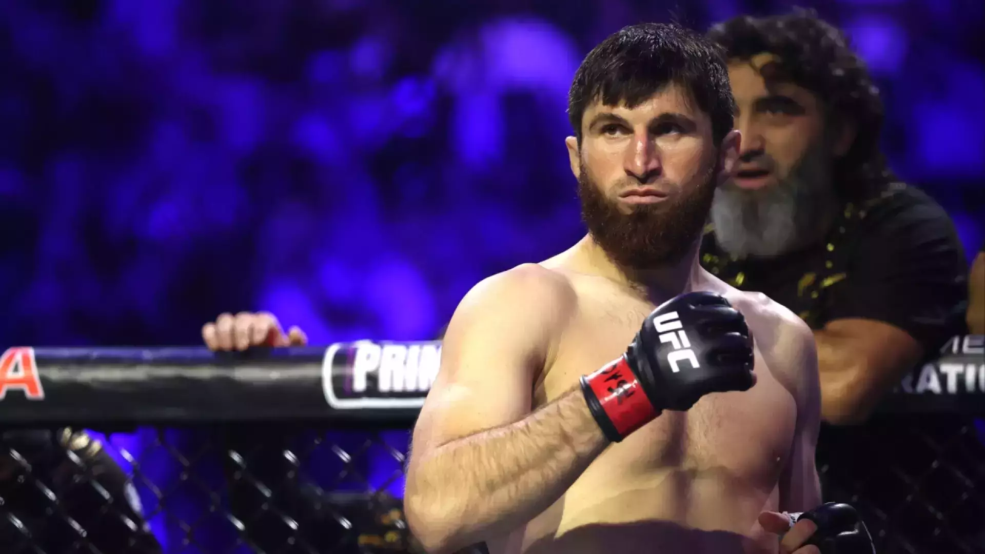 Анкалаев нокаутировал Гуськова в главном бою турнира UFC в Абу-Даби