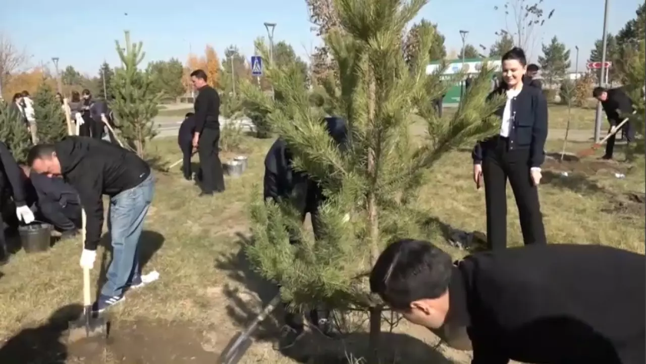 «Таза Қазақстан»: в этом году высажено почти 1,5 млн деревьев