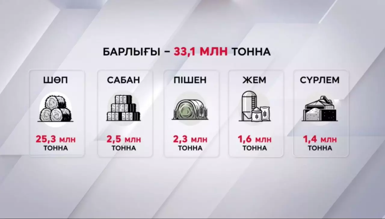 Елде жем-шөптің 80%-ы дайын
