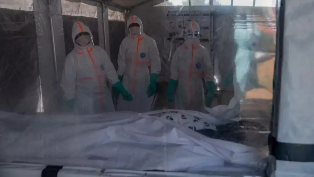 Конгода 500 мыңнан астам адам аштықтан зардап шегіп отыр