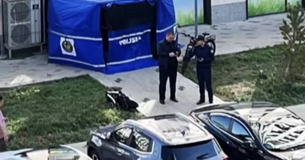  Әйел 15-қабаттан секіріп, арбадағы баланың үстіне құлады: екеуі де қаза тапты 