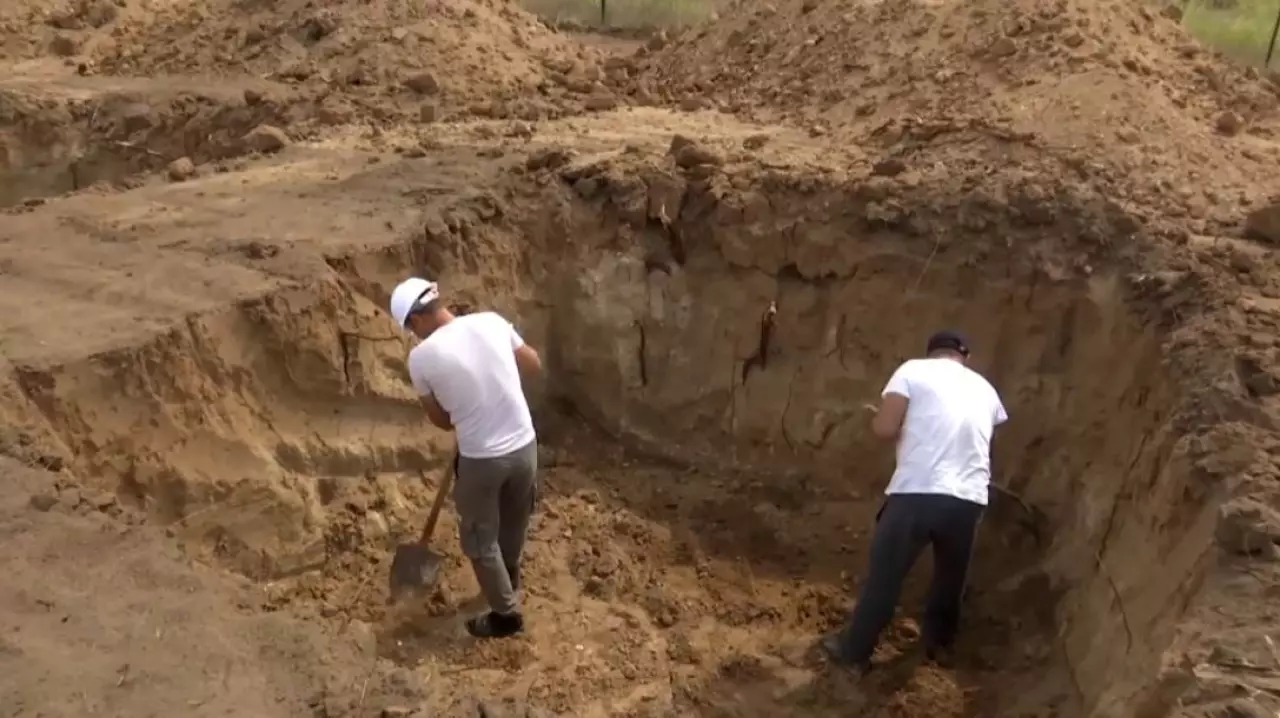 Производство сеянцев увеличивают в Карагандинской области