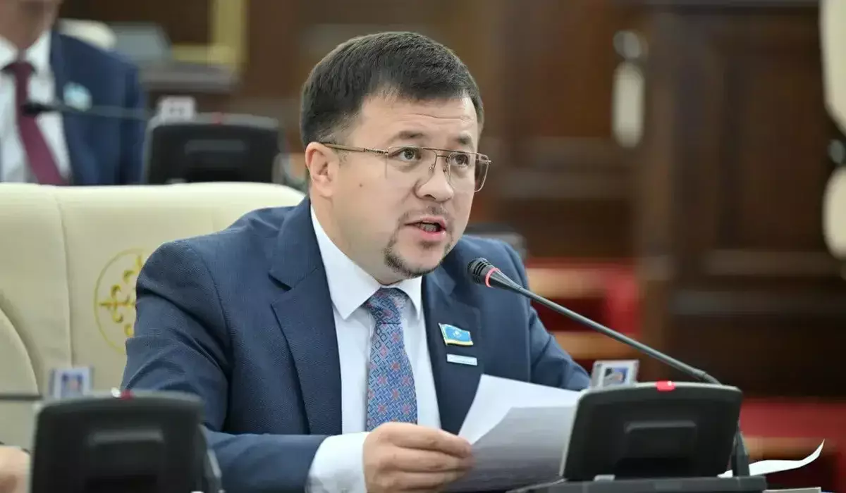 «Лайк үшін ардан аттап жүр»: депутат треш-стримерлерге қатаң жаза сұрады