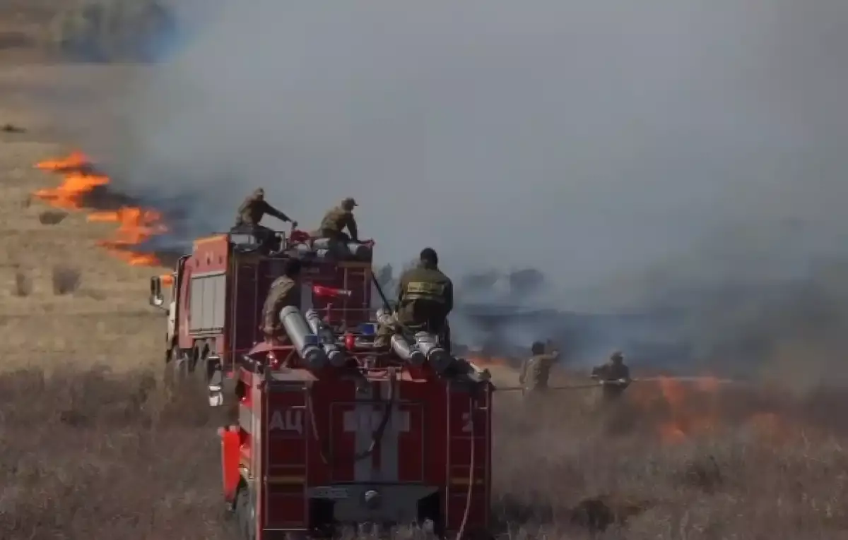 Около 300 человек тушат пожар в Абайской области