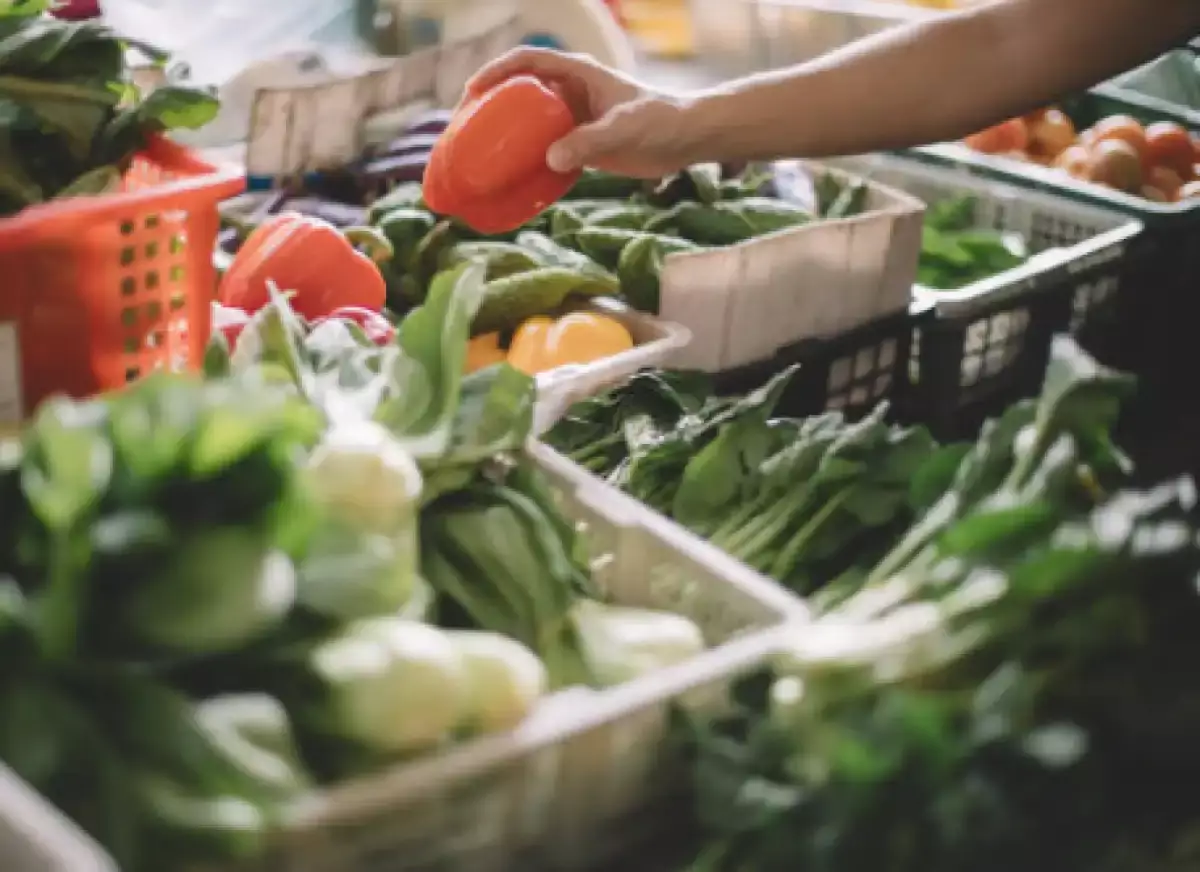 Продукцию кызылординских и атырауских фермеров представят на ярмарке в Астане
