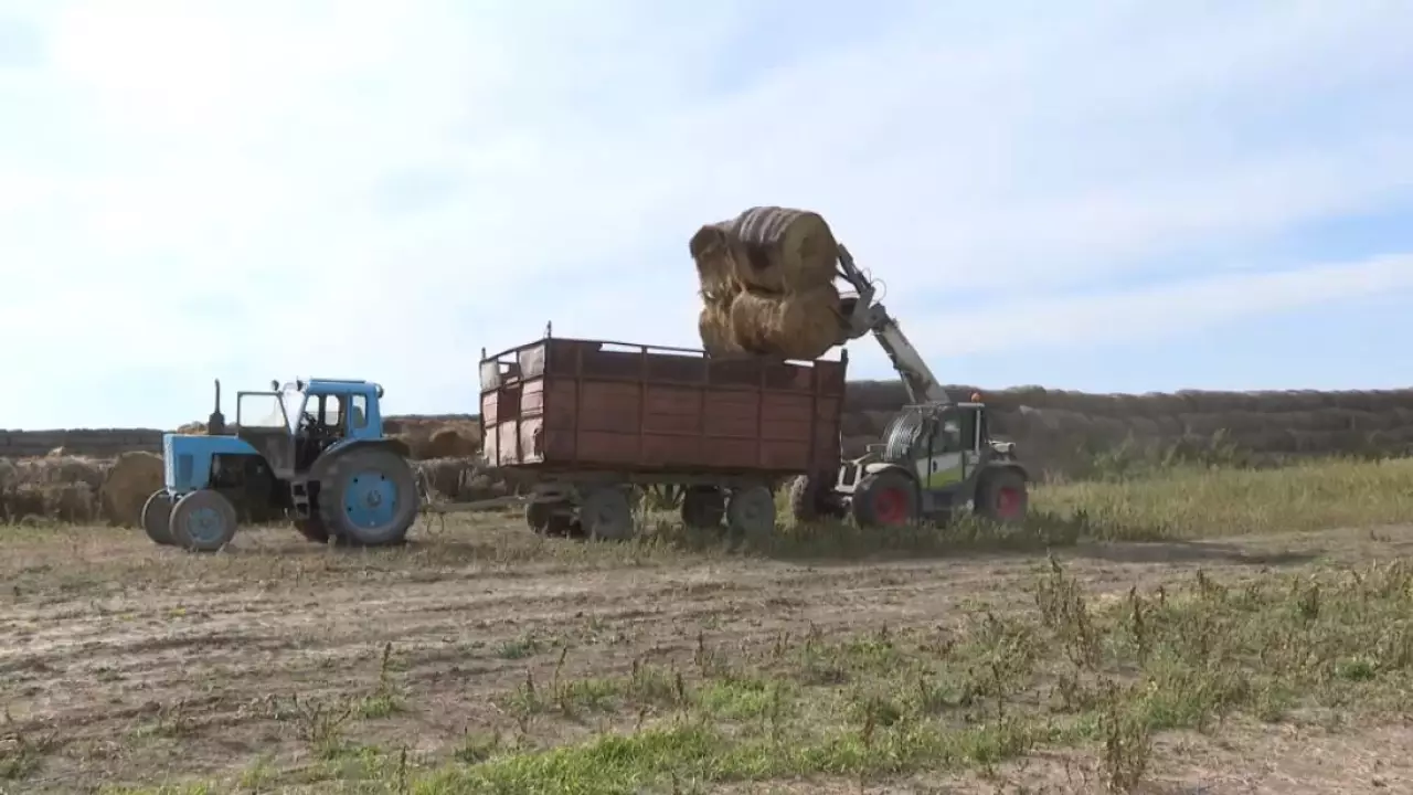 Ақмола облысында 1 млн тоннадан астам шөп жиналды