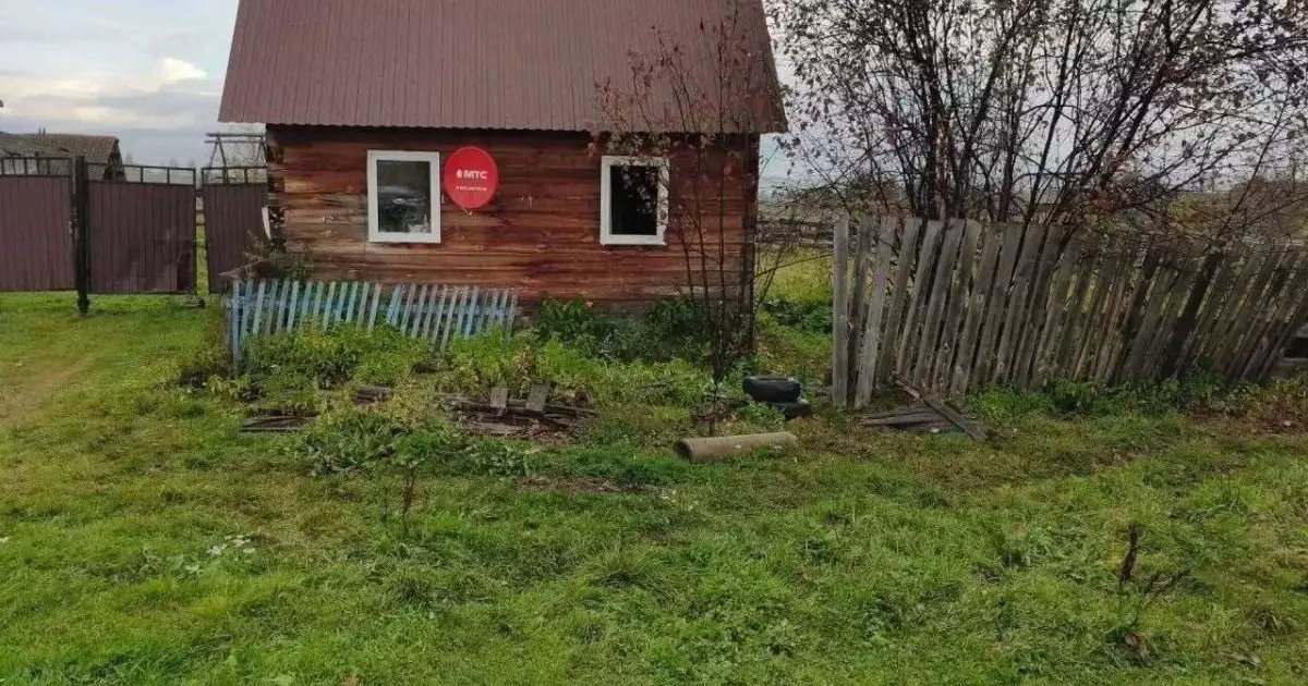  Ресейде аю үйге басып кіріп, 66 жастағы әжейді талап өлтірді 
