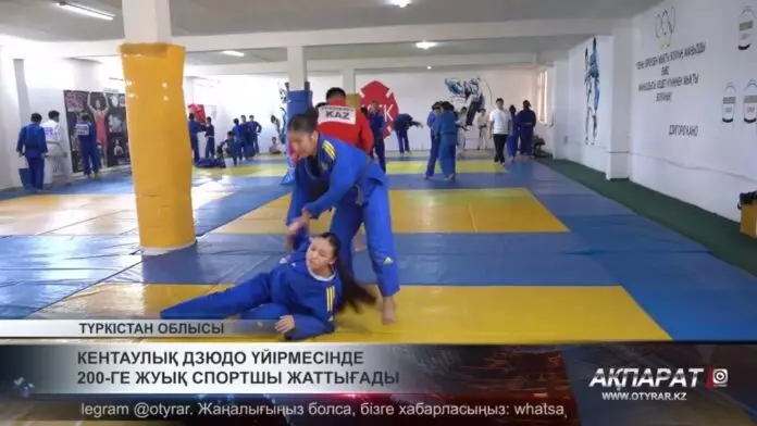 Кентаулық дзюдо үйірмесінде 200-ге жуық спортшы жаттығады