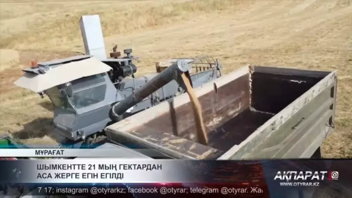 Шымкентте 21 мың гектардан аса жерге егін егілді