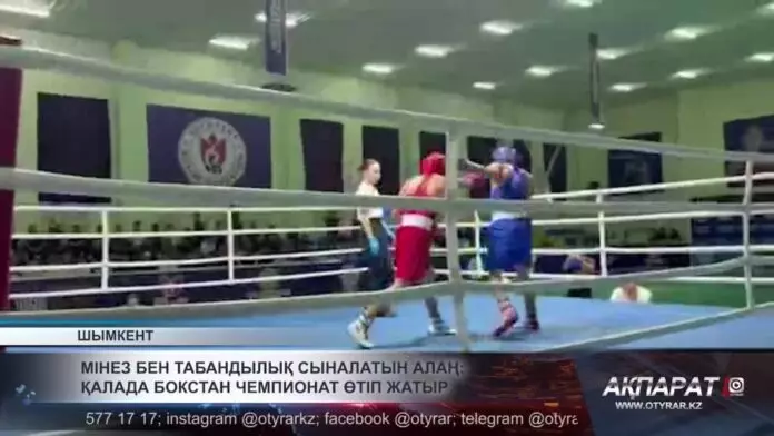 Мінез бен табандылық сыналатын алаң: Қалада бокстан чемпионат өтіп жатыр