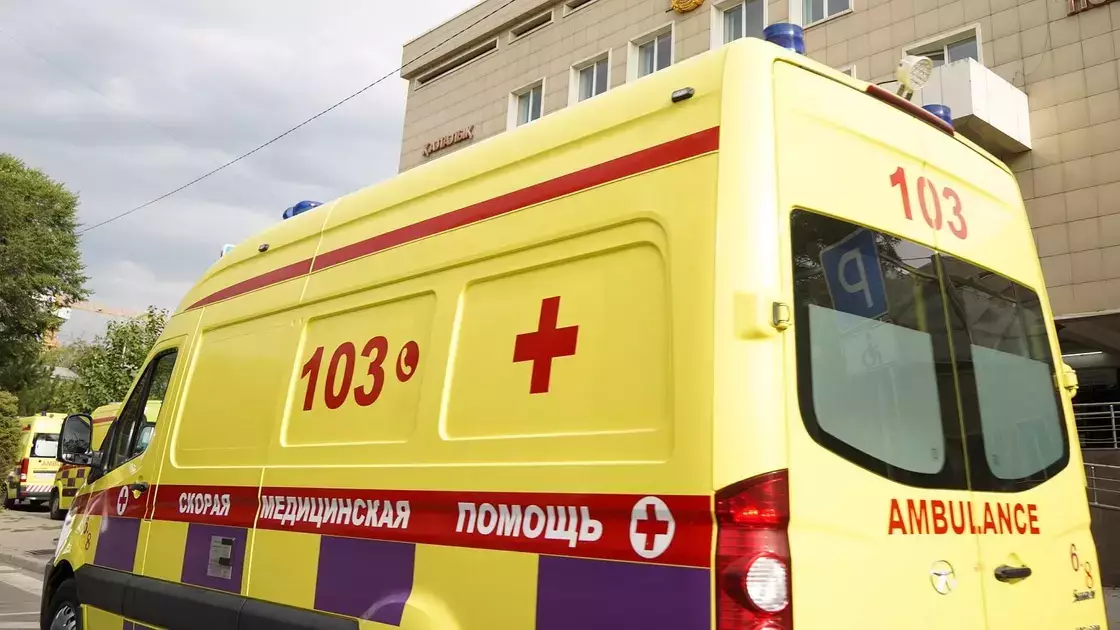 Қайғылы жағдай: Ақмола облысында «Газель» 4 жасар қызды қағып өлтірді 