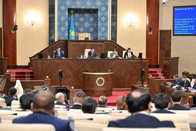 Құрылтай жанынан 50 адамнан тұратын жаңа палата құру ұсынылды