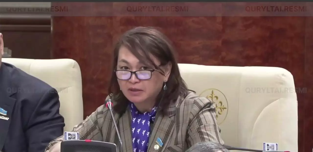Депутаттар жүргізуші куәлігін алудағы 6 айлық кезек пен делдалдарды сынға алды