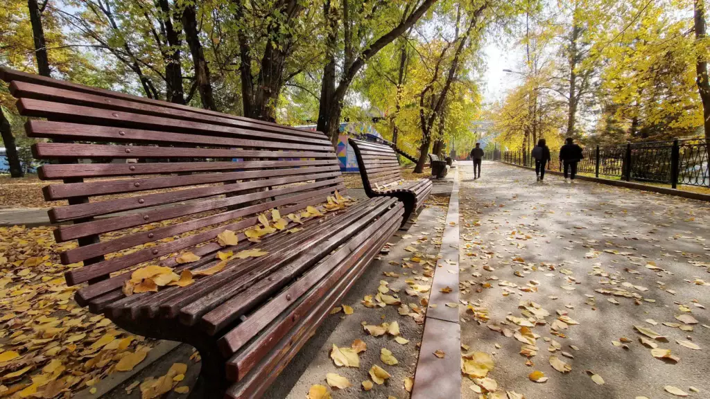 Жаңбыр басылып, күн жылынады: алдағы үш тәуліктің ауа райы