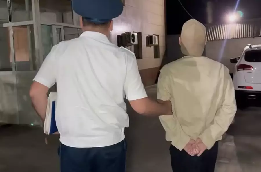 Шымкентте ер адам TikTok-тағы тікелей эфир үшін 7 тәулікке қамалды