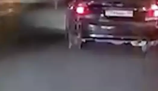 Полицейлерден алдымен көлікпен, кейін жаяу қашқан ер адам ұсталды (видео)