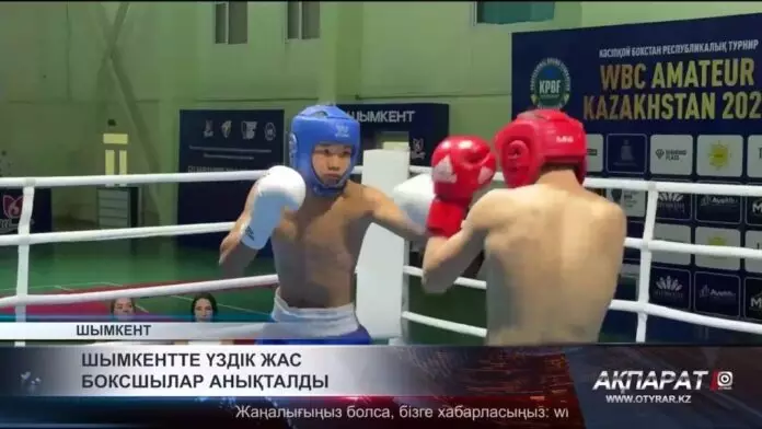 Шымкентте үздік жас боксшылар анықталды