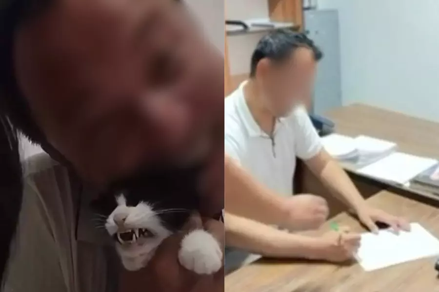 TikTok-тағы тікелей эфирде мысықты қинаған ер адам жазаланды