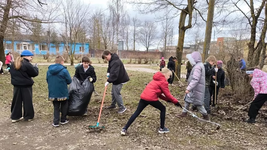 "Мектеп оқушыларын сенбілікке шығару керек": Депутаттың ұсынысы желіде қызу талқыға түсті