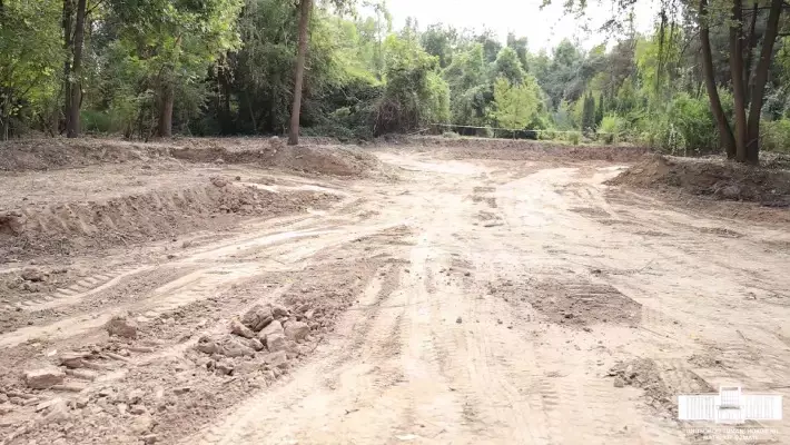 В Ботаническом саду Ташкента создадут водоем площадью 0,5 га