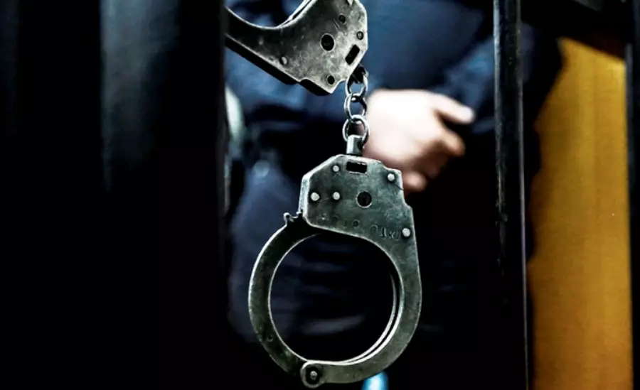 В Украине задержали 18 человек, работавших против Казахстана – МВД