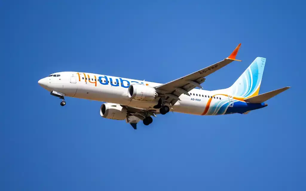 «Біз террористердің көзін жойдық»: Flydubai жолаушысының видеосы тарады