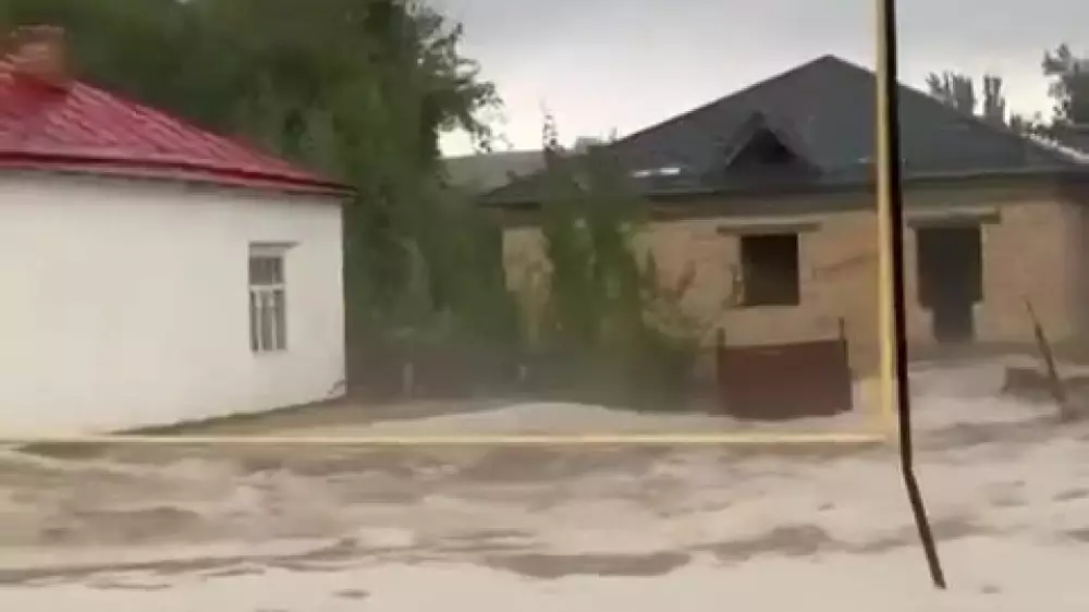 Мощный поток воды хлынул на улицы: видео из Туркестанской области