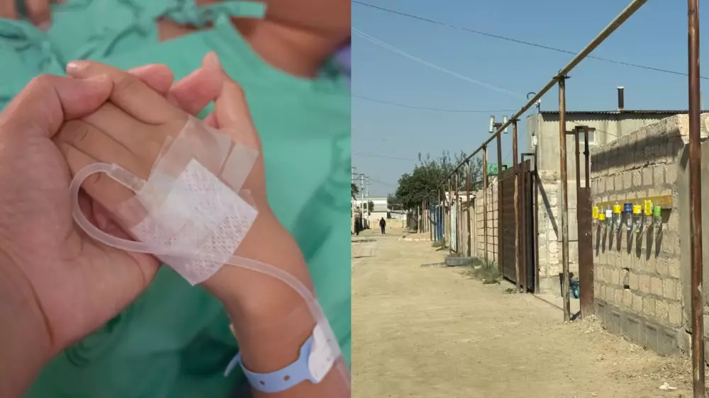Балықты Атыраудан келе жатқан жолда сатып алған: 9 жасар баланың өліміне қатысты не белгілі?