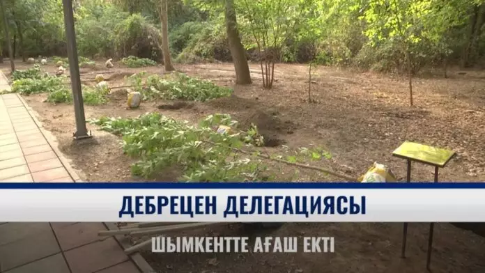 Дебрецен делегациясы Шымкентте ағаш отырғызды