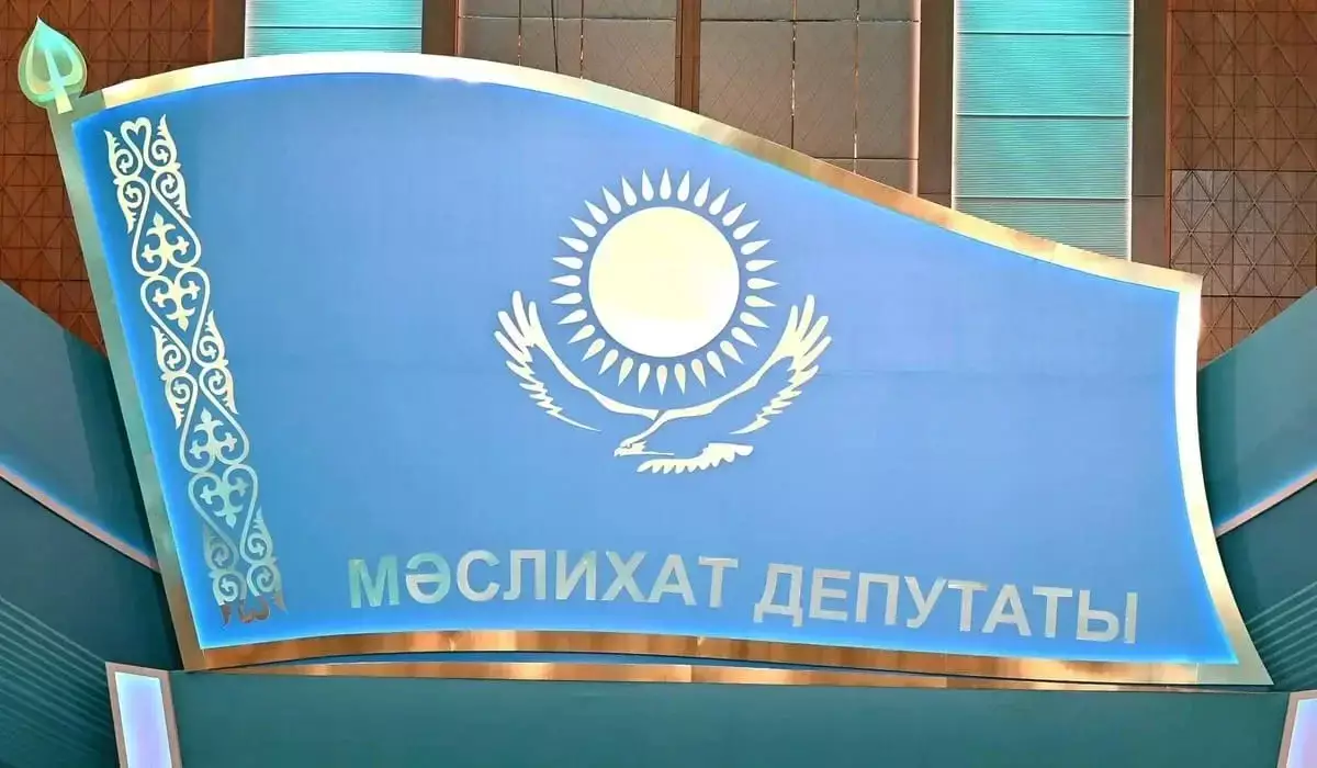 Президент проконсультировался по поводу досрочного роспуска маслихатов