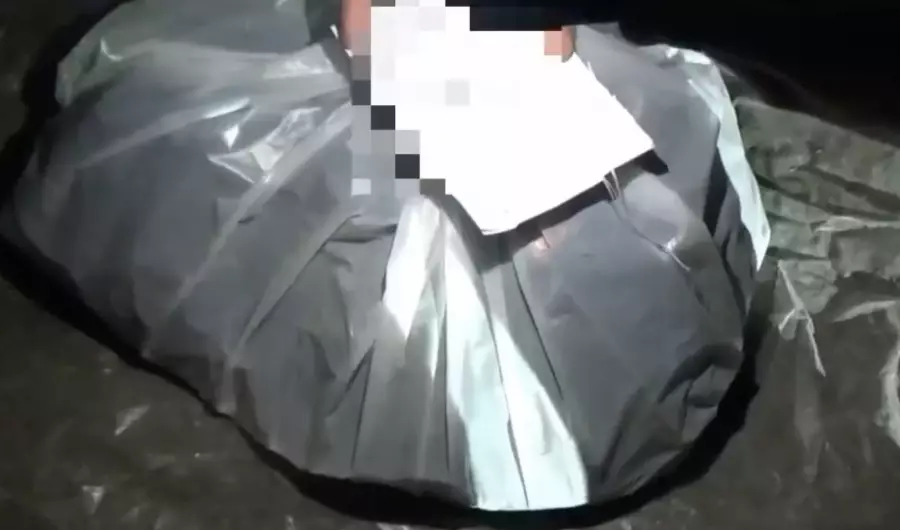 Пакет-пакет ақшаны шатырға жинаған: Түркістан облысында үй жөндеп жатқандар тосын жайтқа тап болған