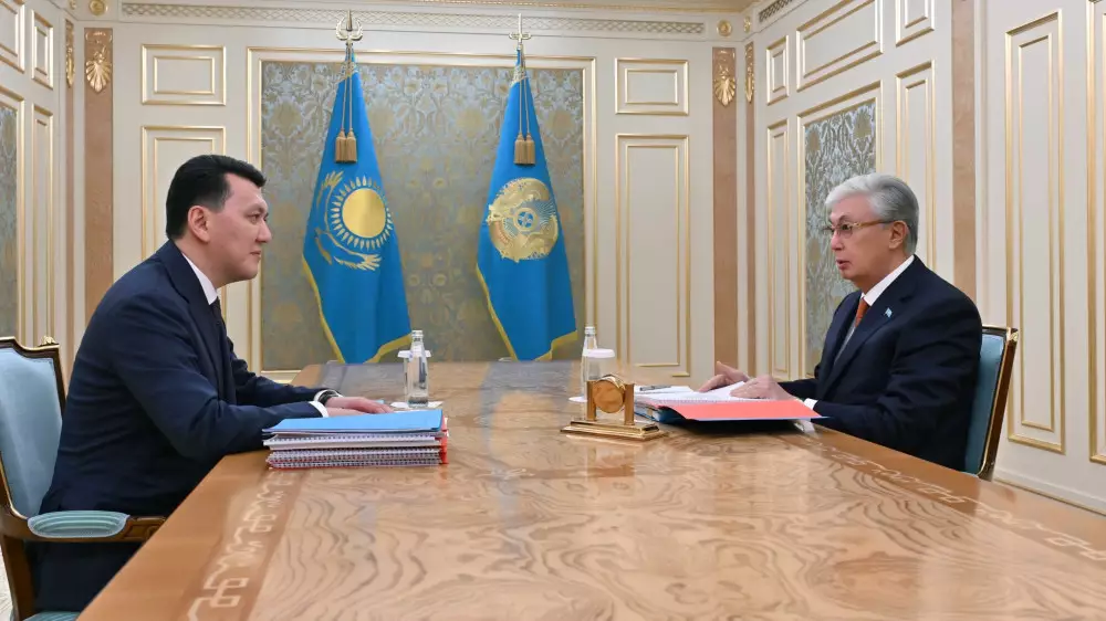 Токаев принял вице-президента Карина