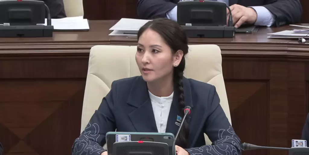 «Электронная зона защиты»: депутат предложила МВД внедрить новые цифровые механизмы против домашнего насилия