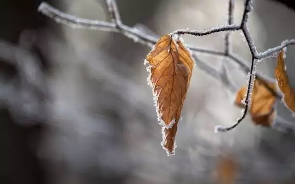 -18 градус суық, жаңбыр, тұман: Алдағы үш күнге арналған ауа райы болжамы