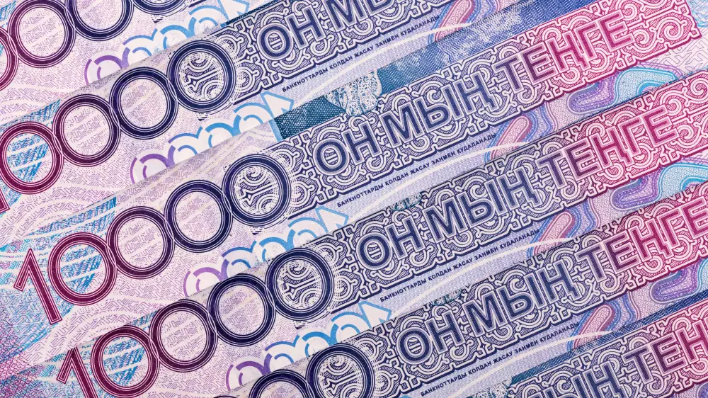 Правительство изучает ситуацию – Токаев о социальных льготах и выплатах