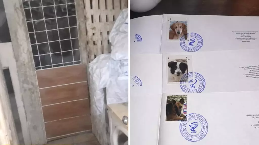 Маңғыстауда балта ұстаған ер адам қамаудағы иттердің үйшігін сындырып кеткен