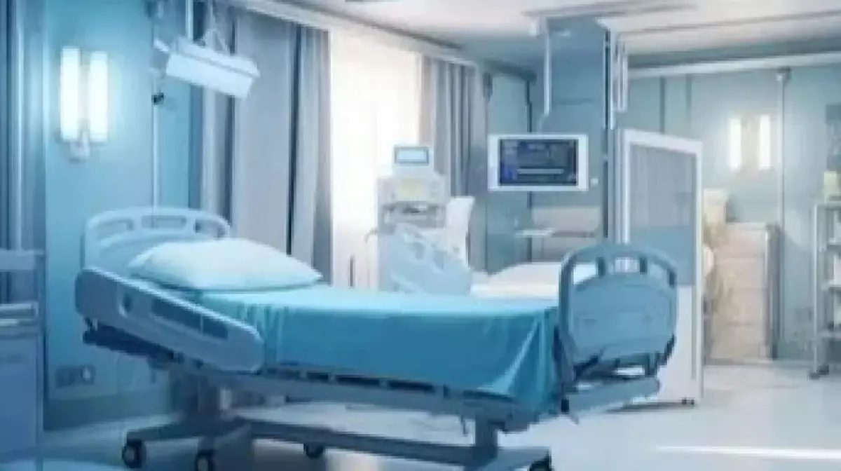 Ер адам әйелін таспен ұрып өлтірген