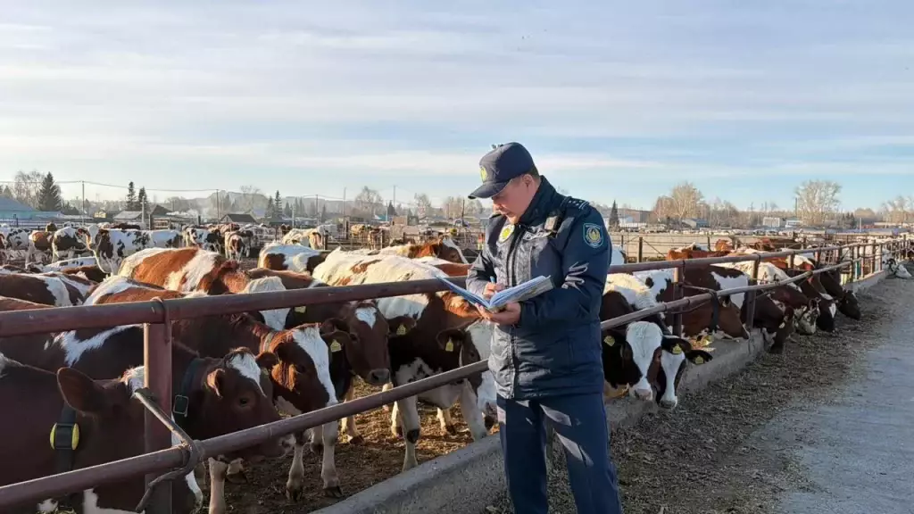 Жамбыл облысында 400-ге жуық мал ұрлаған күдіктілер ұсталды